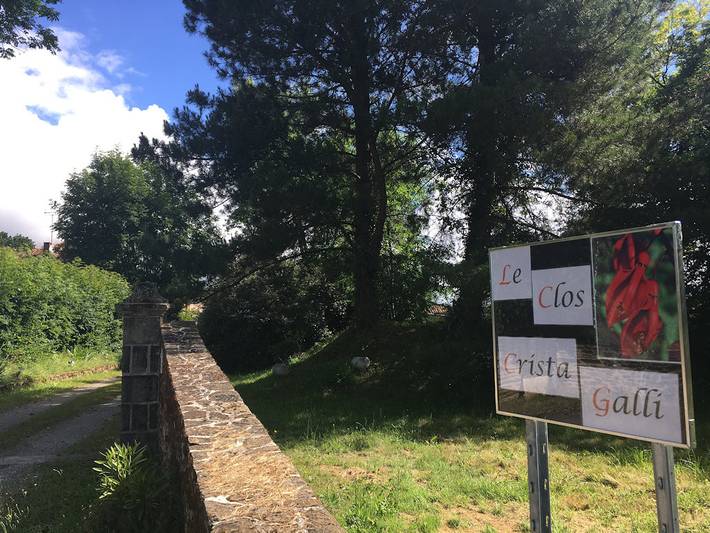 Gîte pour 6 personnes, avec terrasse et jardin à Saint-Junien - 3