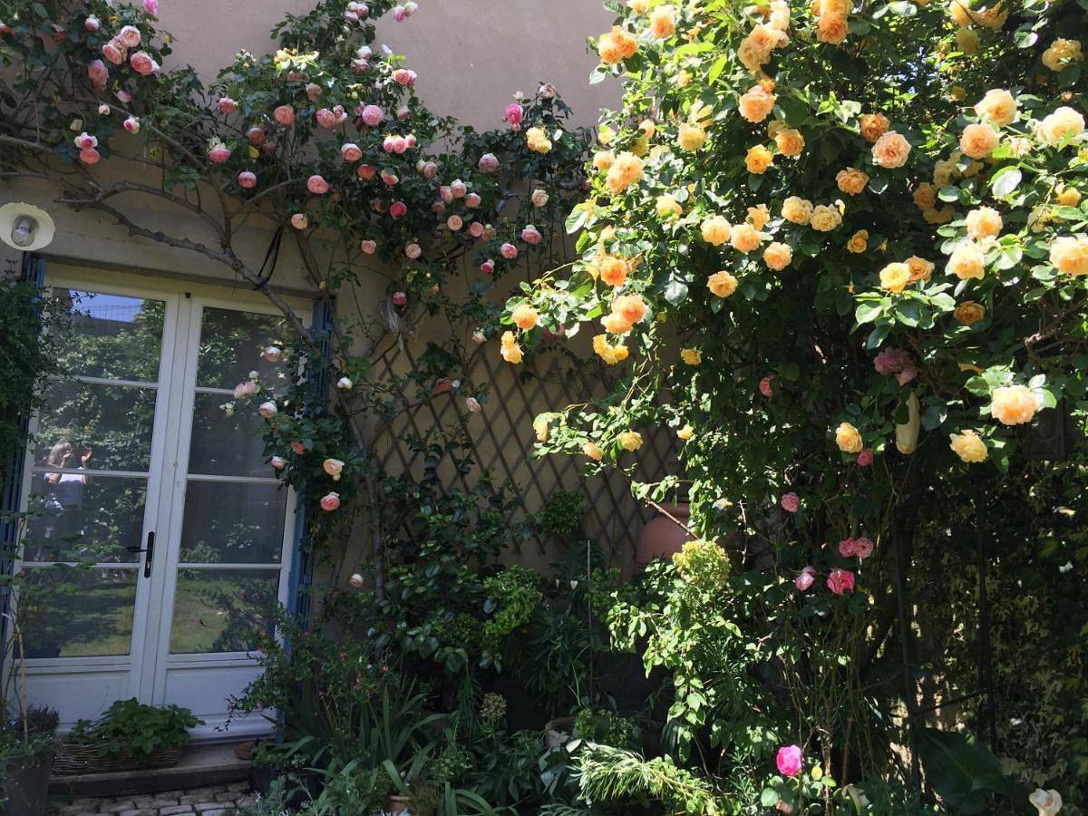 Double Room with Private Bathroom in La Flèche, Sarthe