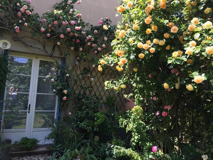 Chambre d’hôte pour 2 personnes, avec terrasse ainsi que jardin et vue à La Flèche - 4