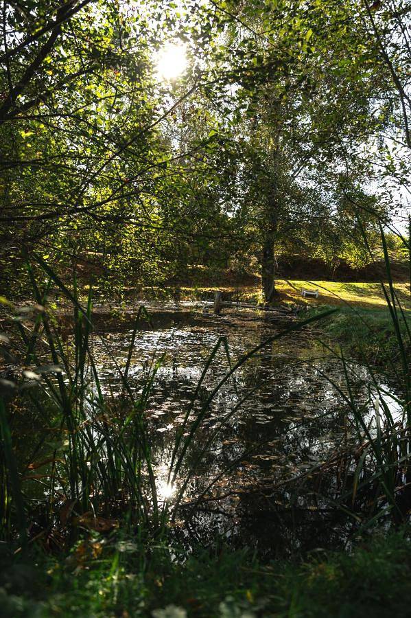 Maison d’hôte pour 2 personnes, avec jardin ainsi que vue et terrasse à Champsac - 3
