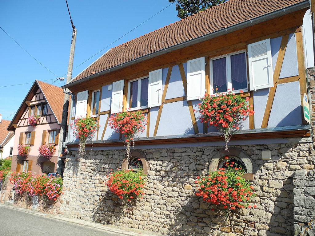 Epfig : Gîte Le Châtaignier - 2 Gîtes au centre Alsace in Epfig, Région de Sélestat-Erstein