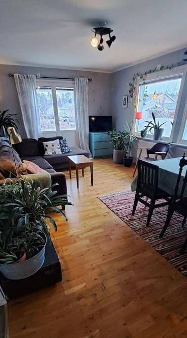 Ferienhaus für 5 Personen, mit Garten in Västervik - 3