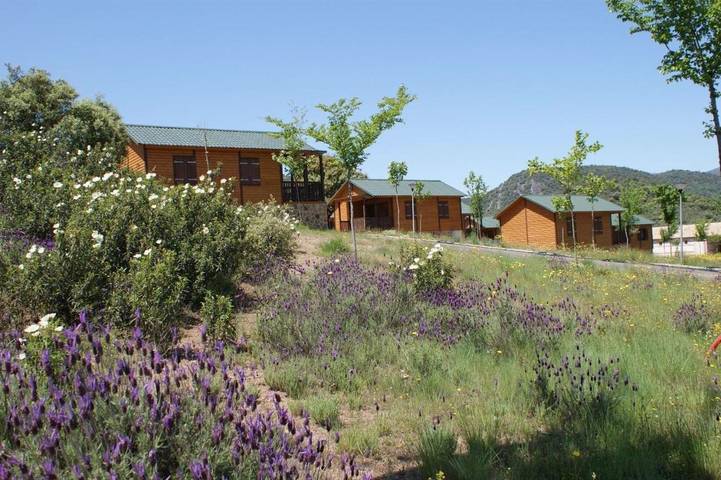 Casa rural para 4 personas, con vistas y piscina además de jardín y balcón en Provincia de Ciudad Real - 3