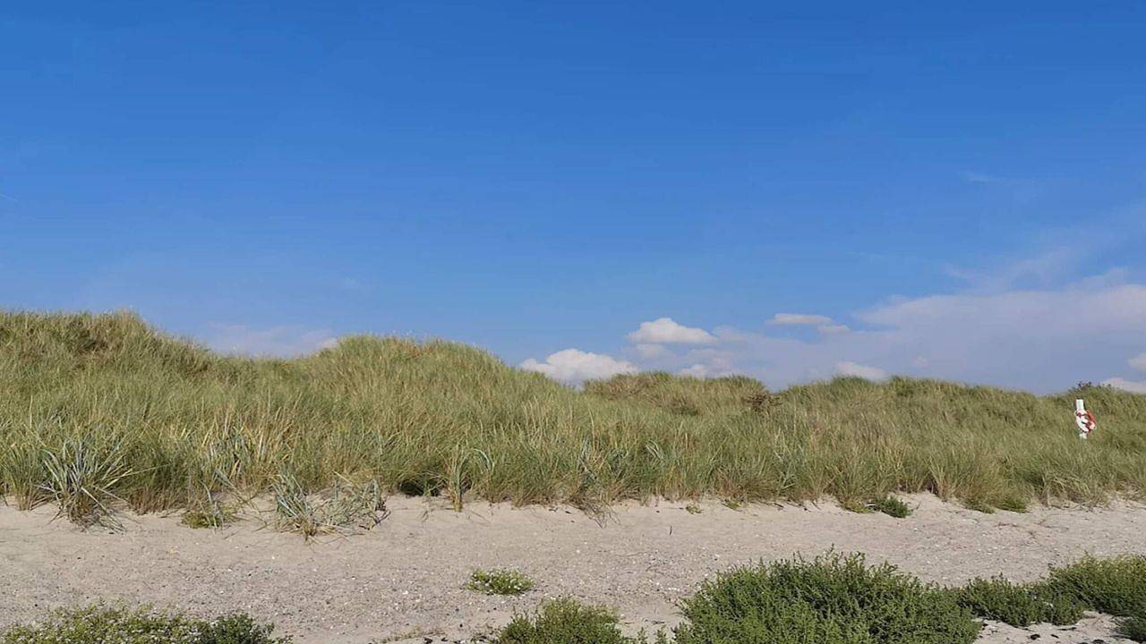 Ferienhaus für 4 Personen (57 m²) in Dannemare in Hummingen, Dannemare