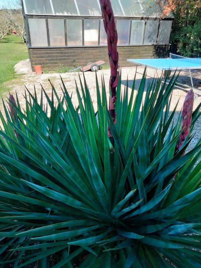 Location de vacances pour 2 personnes, avec terrasse et piscine ainsi que jardin et vue à Saint-Antonin-Noble-Val - 2