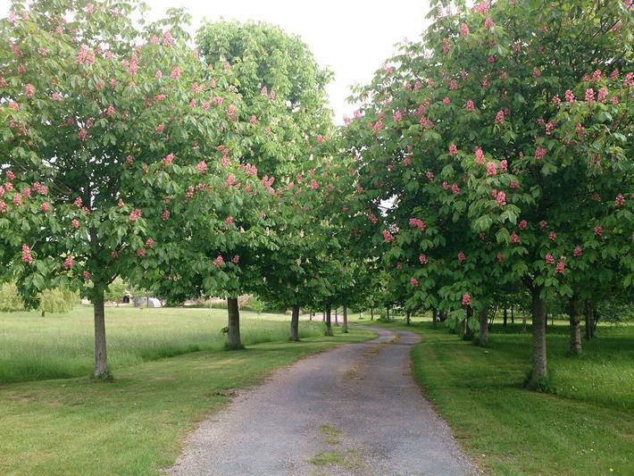 Gîte pour 2 personnes, avec jardin et terrasse, animaux acceptés à La Hoguette