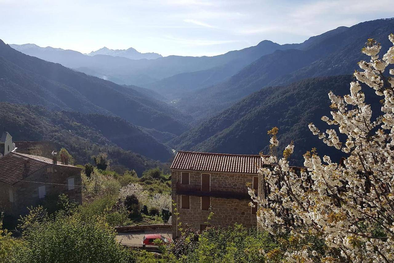 Six-Bedroom House in Letia, Parc naturel régional de Corse