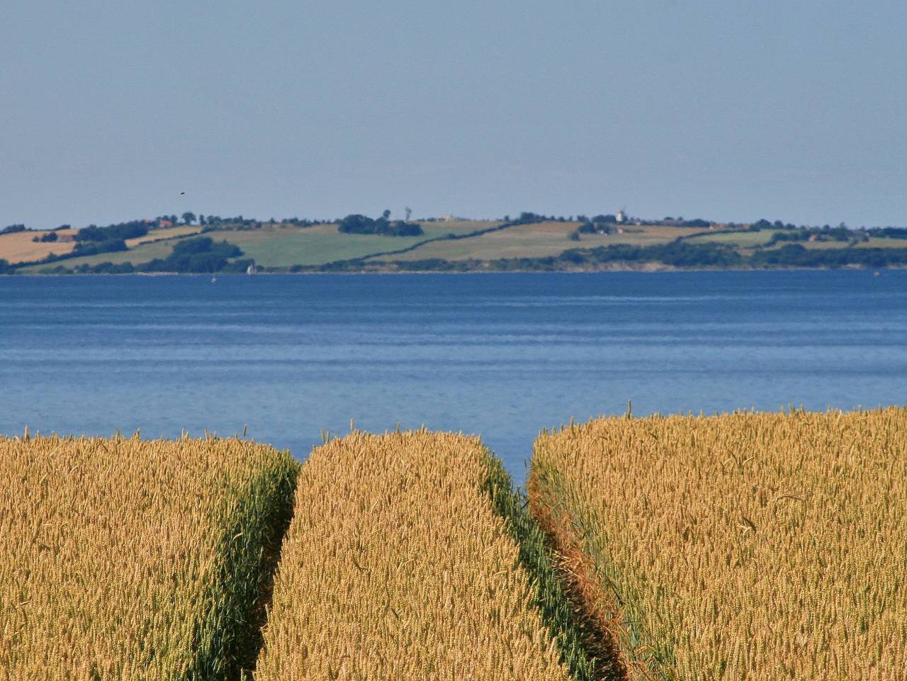Doppelhaushälfte Seute Deern in Esgrus, Schleswig-Flensburg