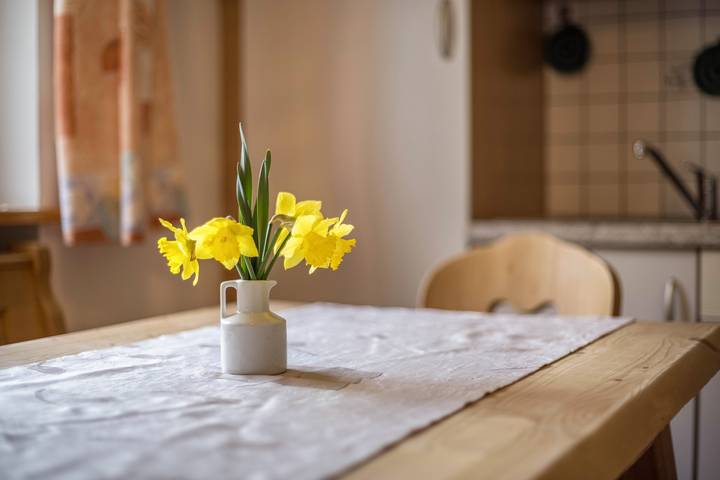Ferienwohnung für 5 Personen, mit Garten am Kronplatz - 4