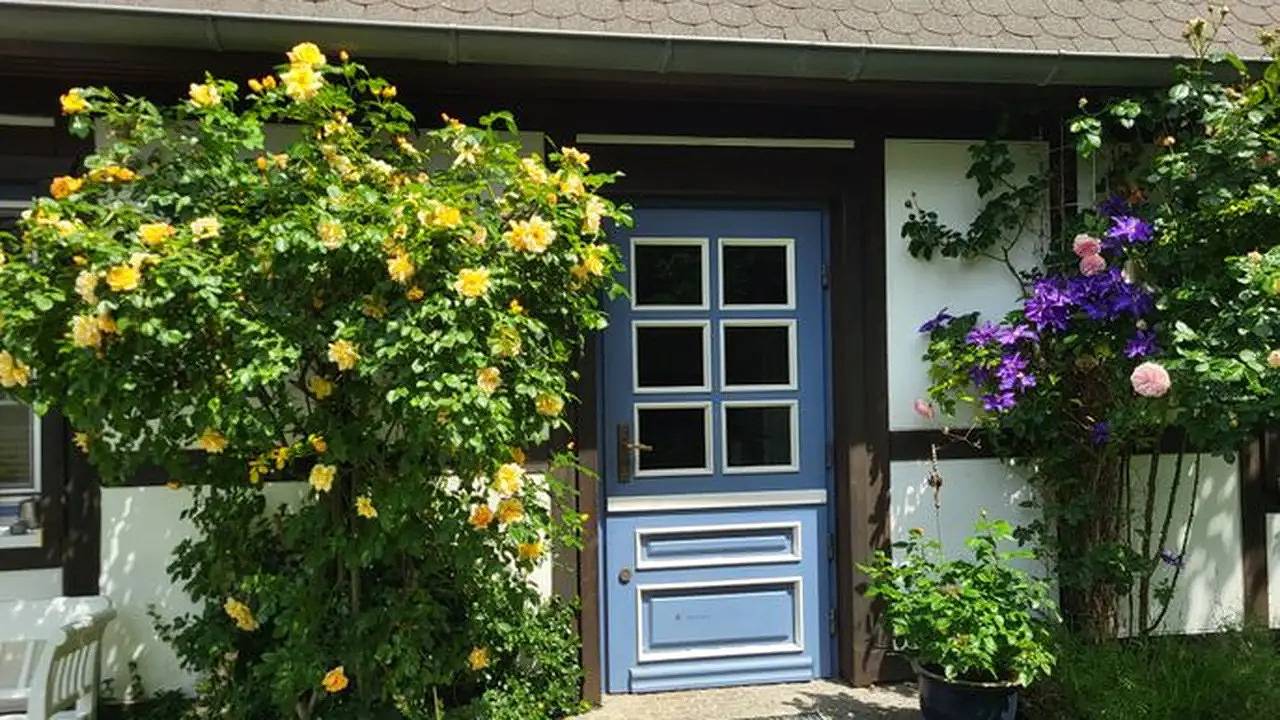 Ferienhaus für 2 Personen (55 m²) in Wustrow (Ostseebad) in Wustrow, Fischland