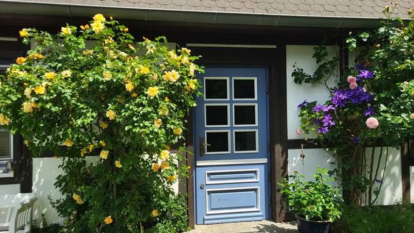 Ferienhaus für 2 Personen, mit Terrasse und Garten auf Fischland - Darß - Zingst - 3