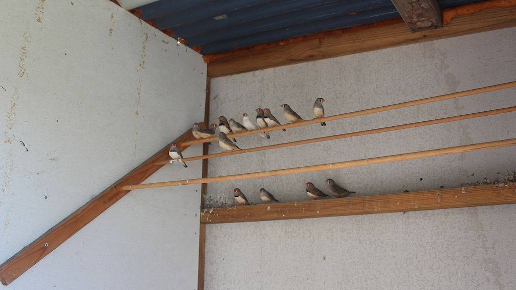 Symuya Ferienhaus in Golden Beach (Victoria), Shire of Wellington