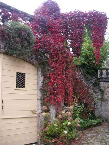 Manoir de charme à Treignac - Chambre Ventadour in Treignac, Région de Tulle