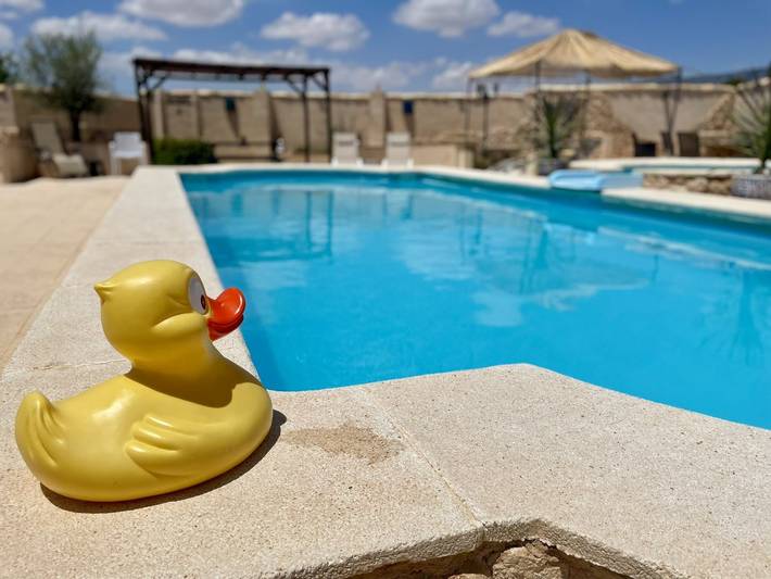 Casa de huéspedes para 14 personas, con piscina además de terraza y jardín, Se admiten mascotas en Pinoso