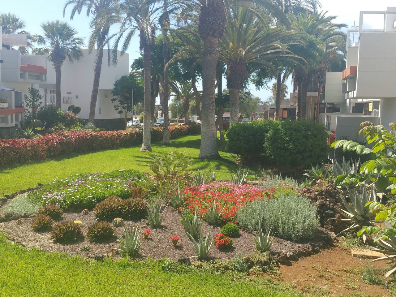 Appartement entier, "Primavera in Costa del Silencio, Arona