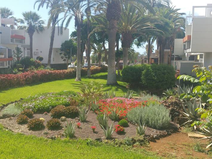 Gîte pour 3 personnes, avec jardin et piscine, animaux acceptés dans Las Galletas - 2