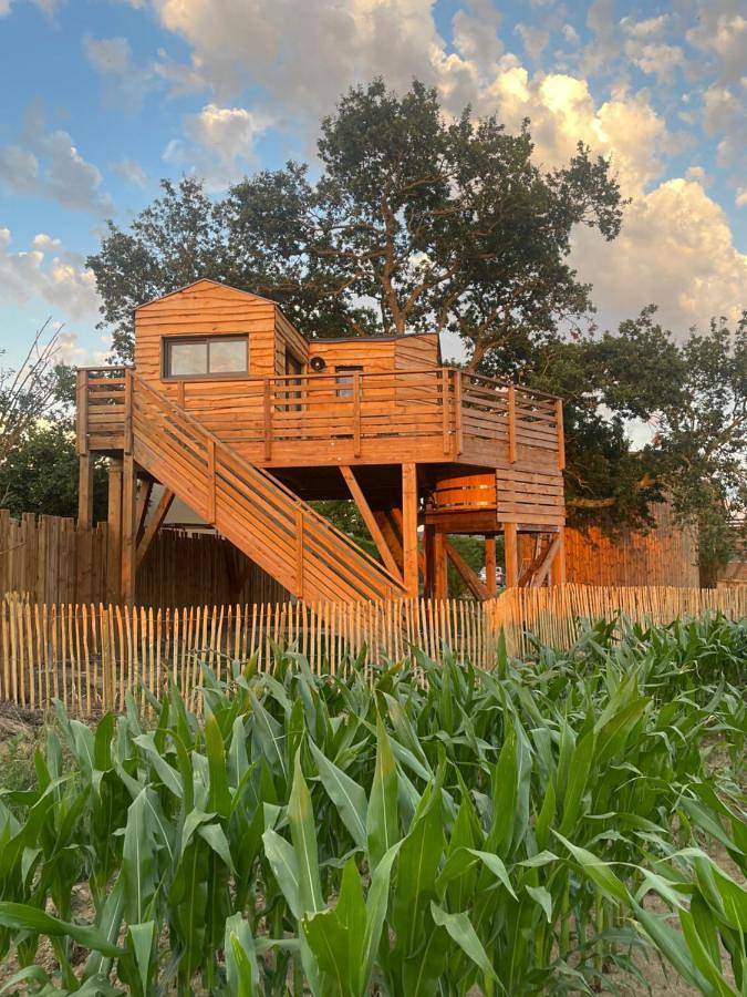 Chalet pour 2 personnes, avec jacuzzi ainsi que jardin et balcon