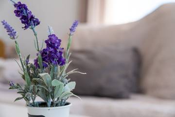 Vakantieappartement voor 13 Personen in Las Calas, Torrevieja, Afbeelding 4