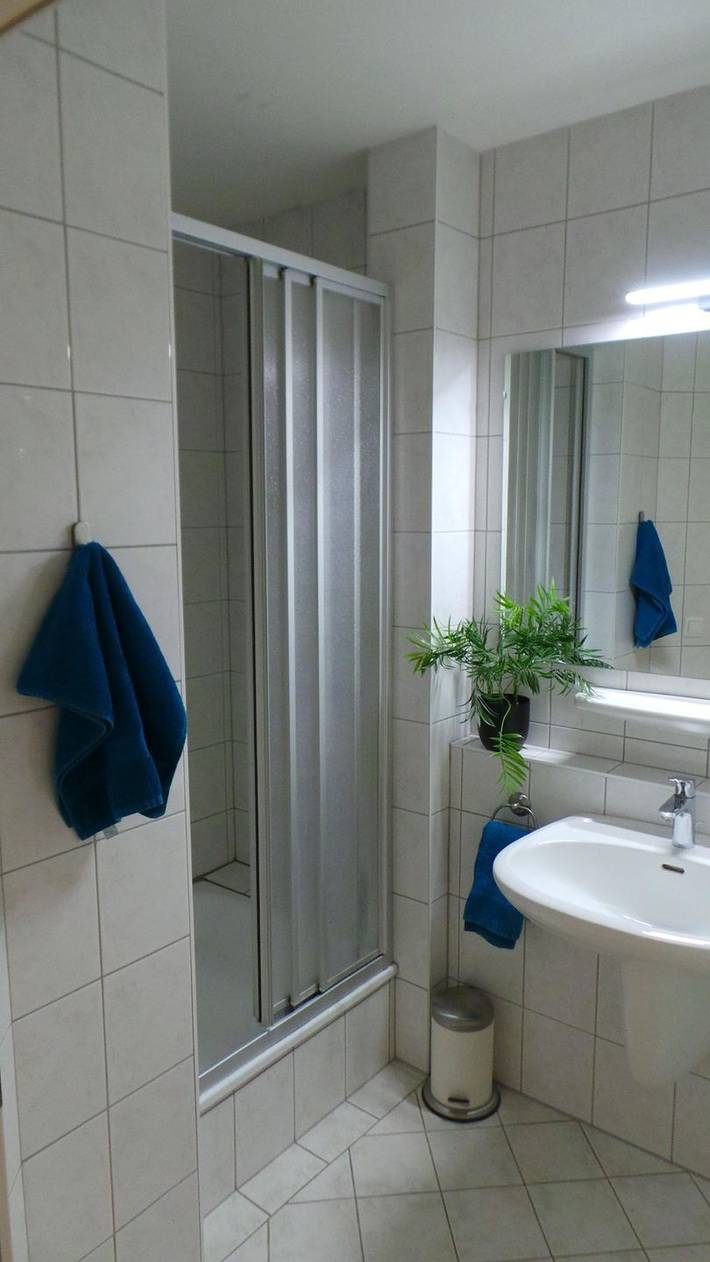 Geheel appartement, Vakantieappartement voor 4 personen met balkon in Königsleiten, Pinzgau