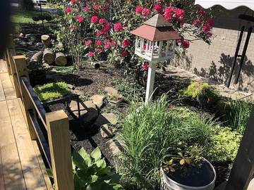 Lake House for 4 Guests in Norris Lake, Tennessee, Picture 3