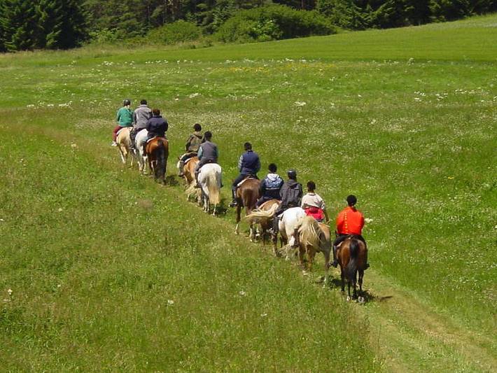 Ganze Ferienwohnung, Reitanlage Härtsfeldhof - Ferienwohnung 1, 50qm, 1 Schlafzimmer, max 4 Personen in Oberdorf (Ostalbkreis), Bopfingen