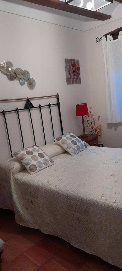 Hotel para 2 personas, con jardín además de vistas y terraza en Comarca de Riaza - 2