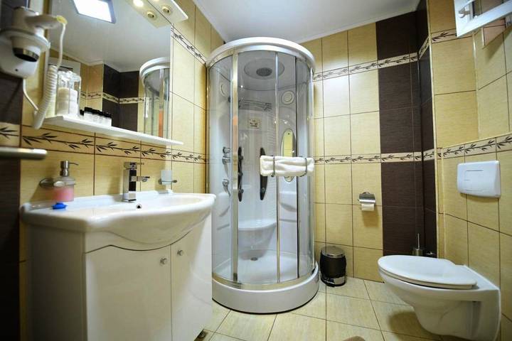 Maison d’hôte pour 2 personnes, avec jardin, animaux acceptés en Roumanie - 4