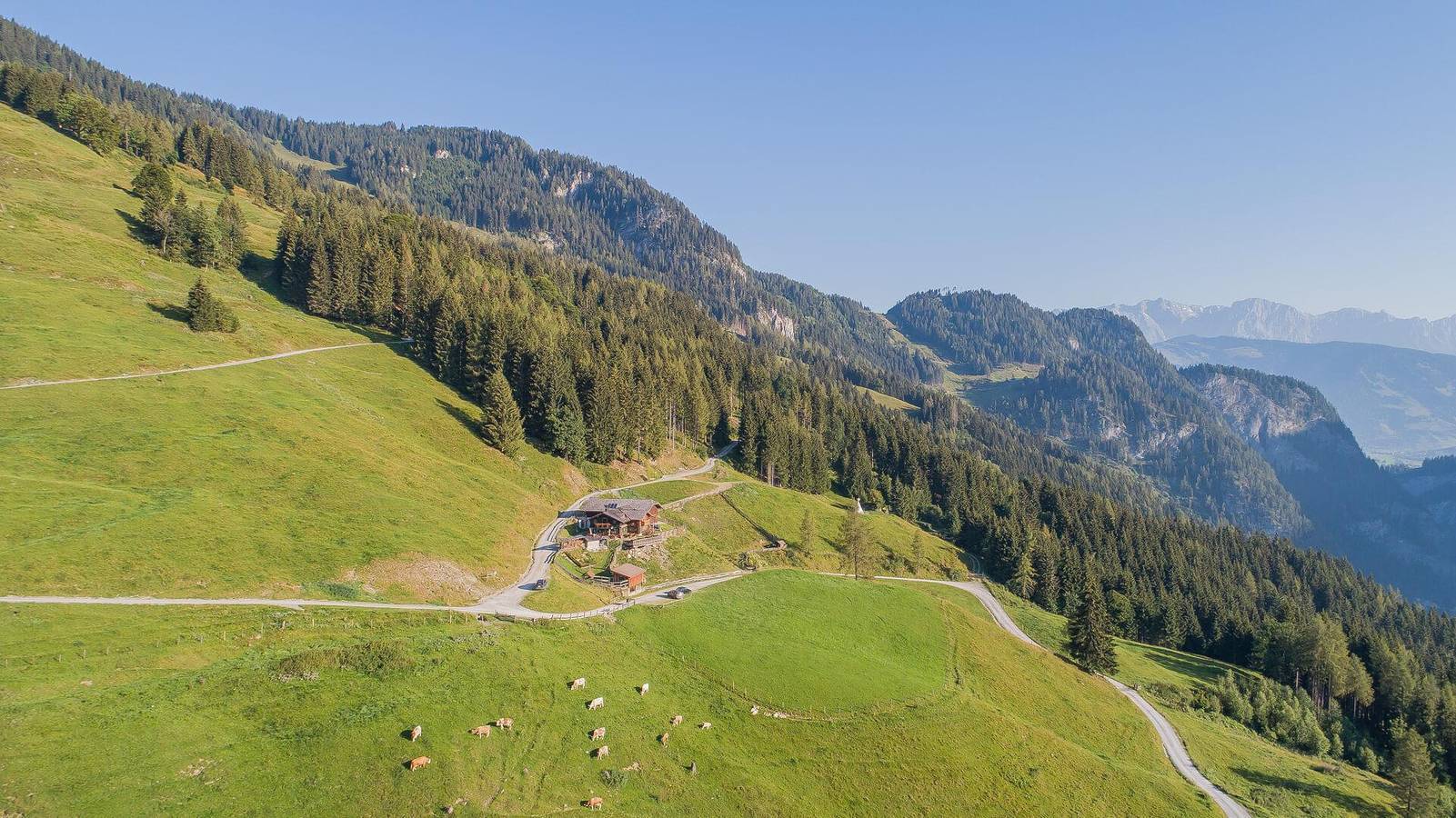 Ganze Ferienwohnung, Almliesl Gast-616 in Dorfgastein, Ski Amadé