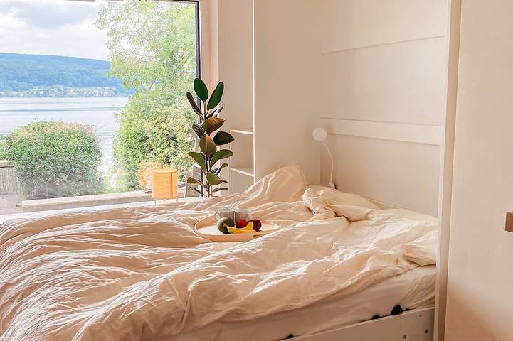 Ganze Wohnung, Fewo Findling direkt am See mit eigenem Strand,  tollem Seeblick und Terrasse in Reichenau, Untersee