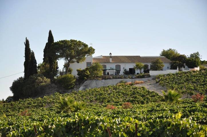 Casa rural para 22 personas, con Terraza y Jardín además de Piscina y Vistas en Jerez de la Frontera