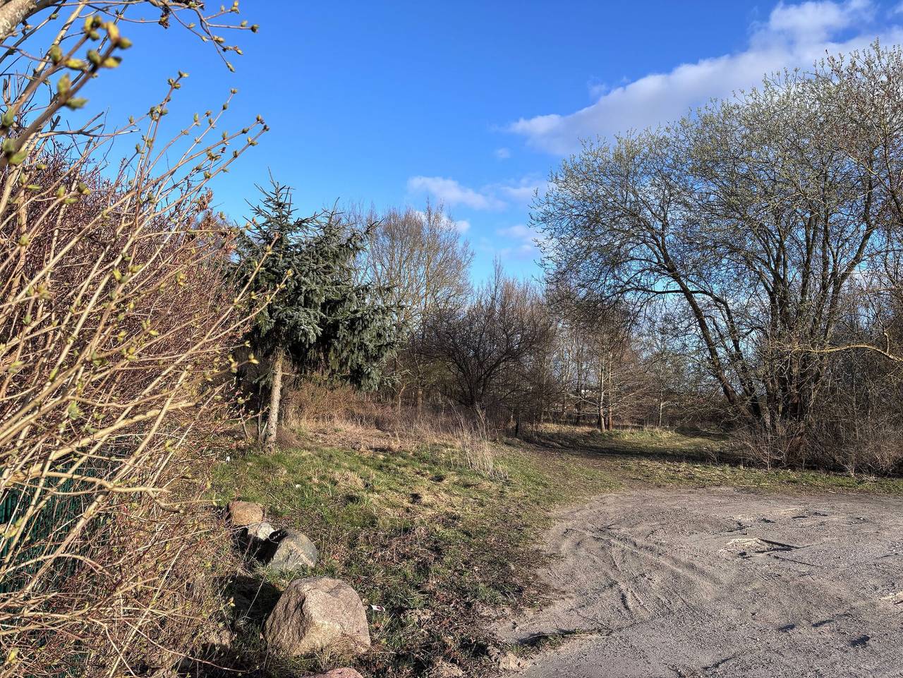 Ganze Ferienwohnung, Ferienwohnung Greifzu Pröger - Ferienwohnung Greifzu in Greifswald, Vorpommern Greifswald