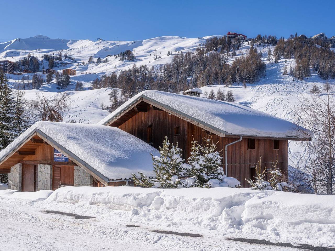 Chalet à La Plagne proche des pistes in La Plagne, La Plagne-Tarentaise