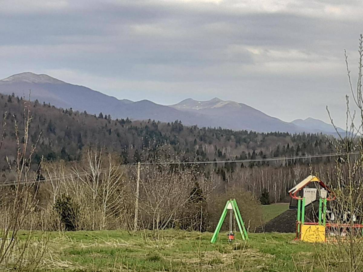 Krzywe Pole in Bieszczady