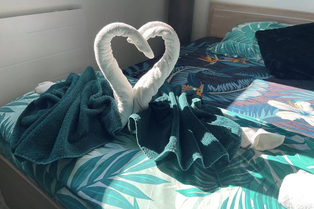 Appartement entier, Annexe, havre de paix avec spa à la campagne in Coutouvre, Région de Roanne