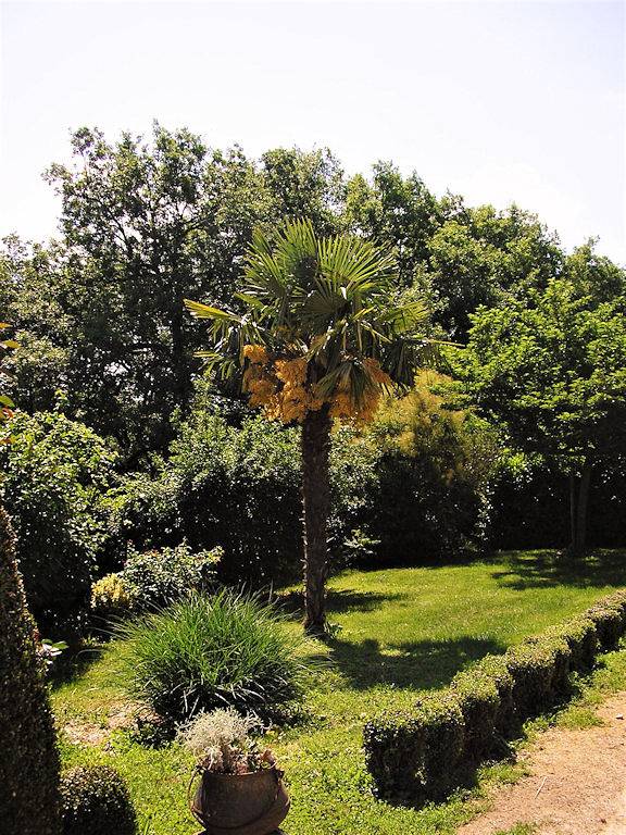 Chambre d’hôte pour 2 personnes, avec jardin dans Parc Naturel Régional des Causses du Quercy - 4