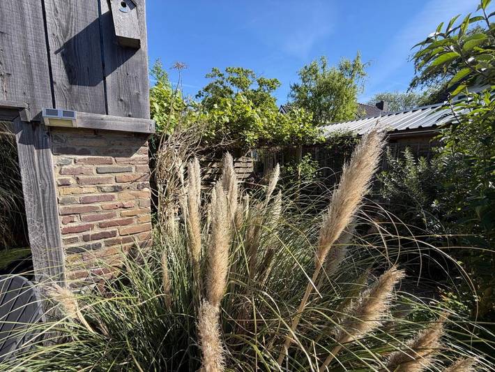Ferienhaus für 2 Personen, mit Terrasse und Garten sowie Ausblick in Bergen (Nordholland) - 2