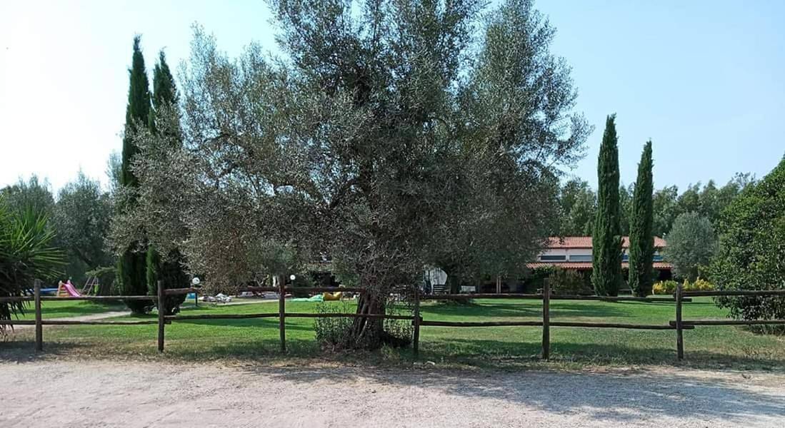 Borgo S.Maria Di Vulci in Montalto di Castro, Provincia di Viterbo