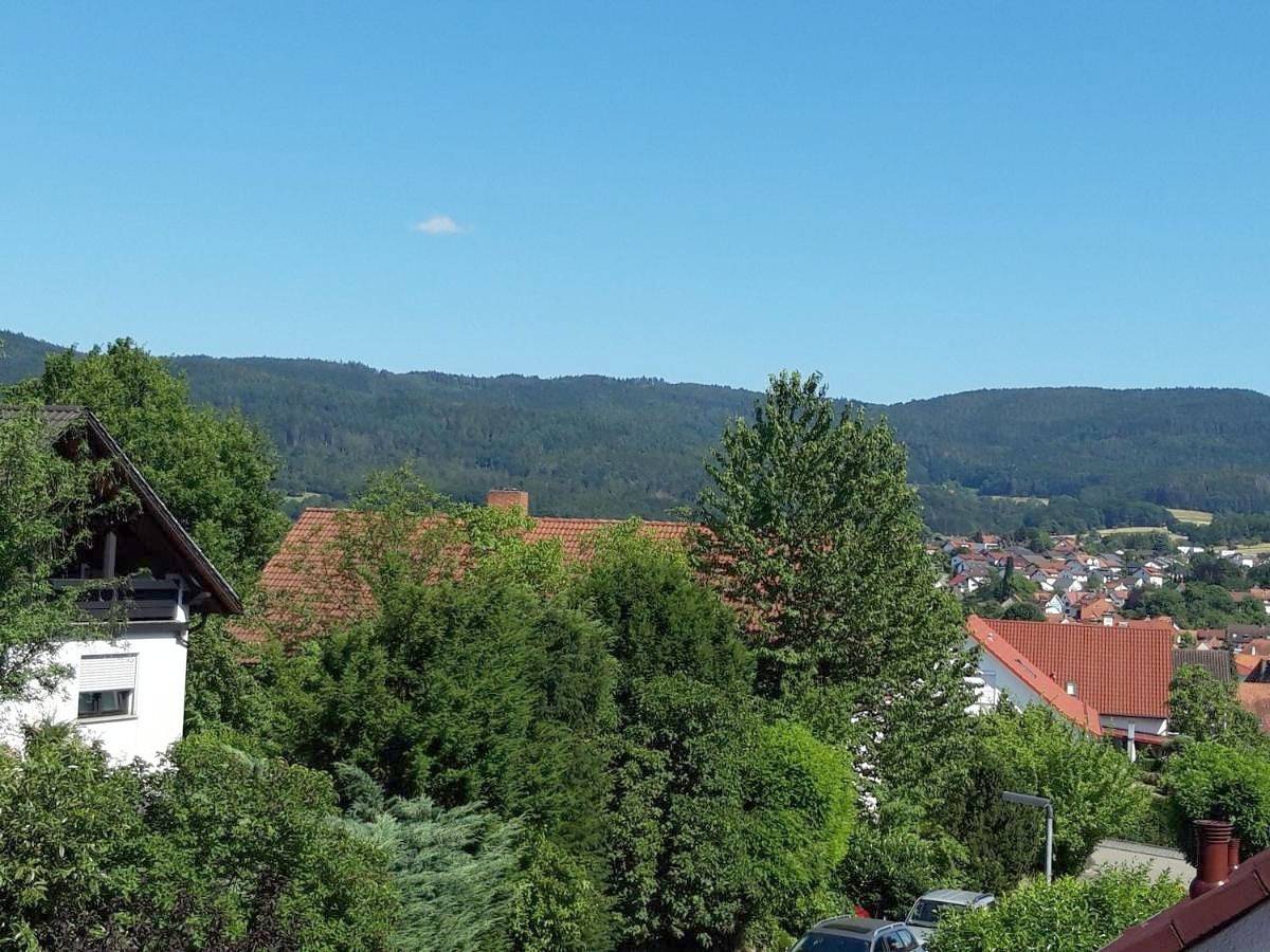 Ganze Wohnung, Ferienwohnung Trommblick - Natur Pur - Rimbach im Odenwald in Rimbach, Bergstraße