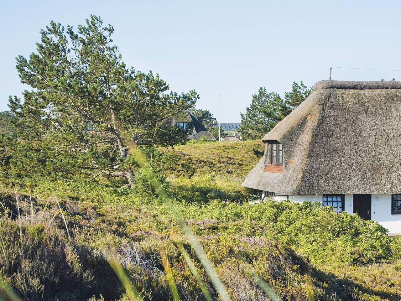 Ganze Ferienwohnung, Uhlenhof E von A&M - Uhlenhof E in Kampen (Sylt), Sylt