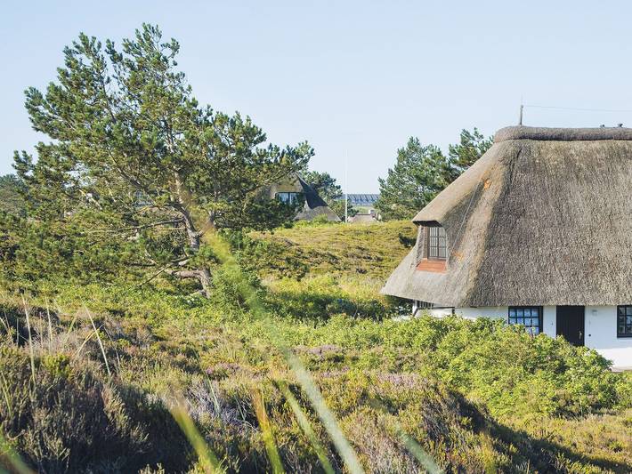 Ganze Ferienwohnung, Uhlenhof E von A&M - Uhlenhof E in Kampen (Sylt), Sylt
