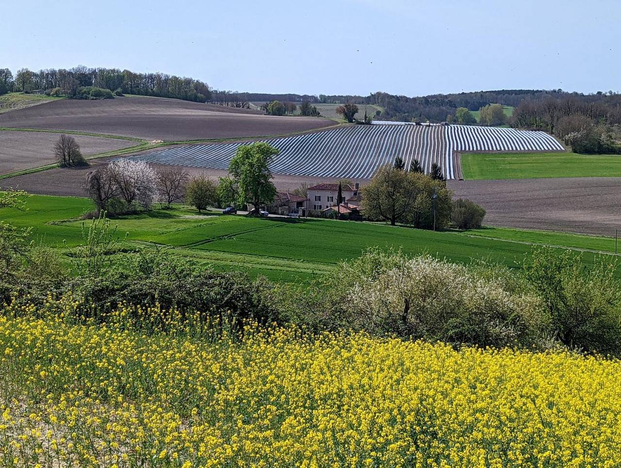 Gîte de Beauséjour in Chadurie, Charente