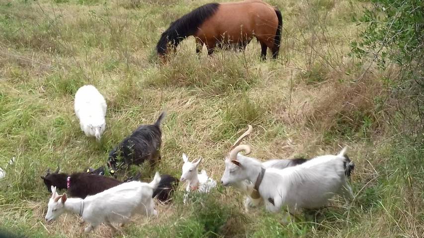 Maison d’hôte pour 2 personnes, avec vue et bassin pour enfant ainsi que piscine et jardin à San Miniato - 3