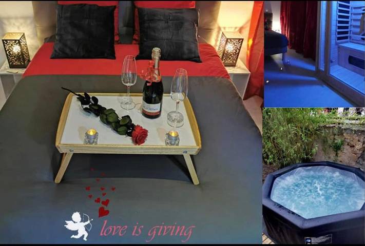 Gîte pour 4 personnes, avec jacuzzi ainsi que sauna et jardin à Melun - 3