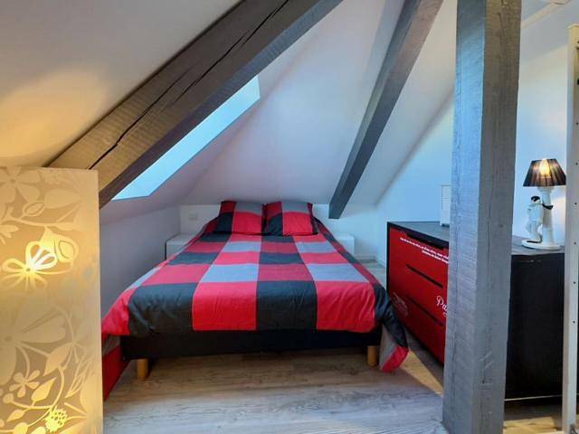 Gîte pour 4 personnes, avec jardin ainsi que jacuzzi et piscine dans Duttlenheim - 4