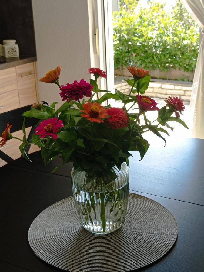 Ferienhaus für 6 Personen, mit Garten und Ausblick, mit Haustier in Karlobag - 3