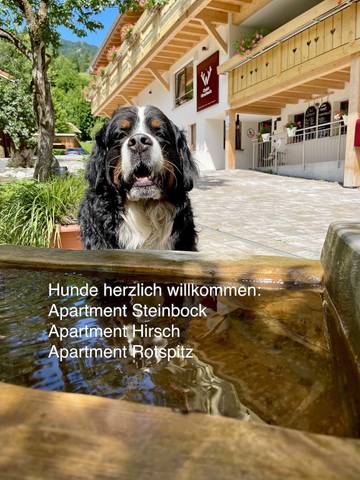 Hütte für 7 Personen in Bad Oberdorf, Bad Hindelang, Bild 2