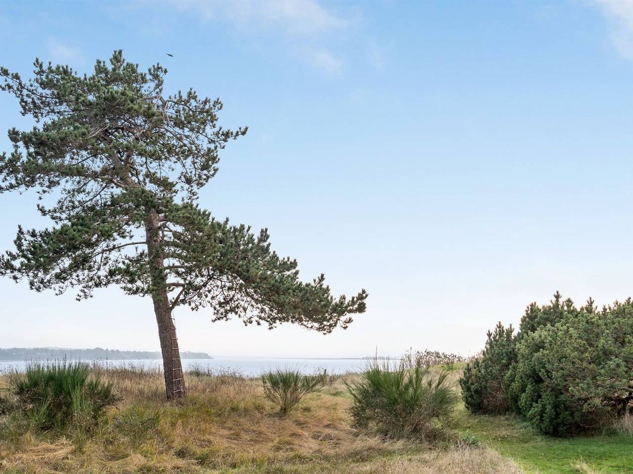 "Bosilka" - 75m from the sea in Hundested, Hovedstaden