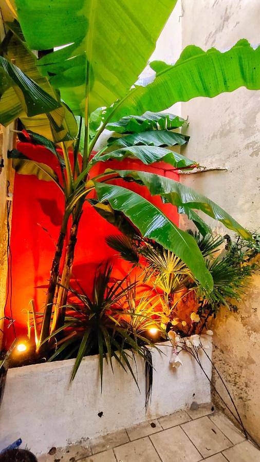 Appartement entier, Votre Escale Jungle Sauna & Spa in Niort, Région de Niort
