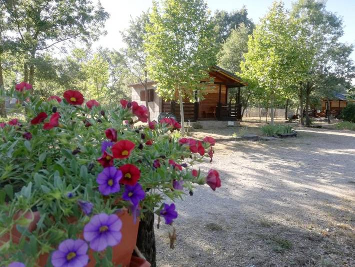 Casa rural para 2 personas, con jardín y vistas, Se admiten mascotas en La Carballeda - 4