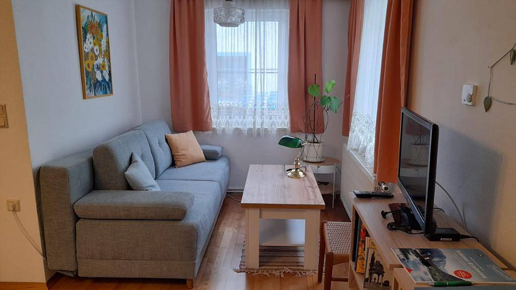 Ganze Ferienwohnung, Haus Lüftleck - Ferienwohnung (50qm) im Zentrum in Lunz am See, Mostviertel Region